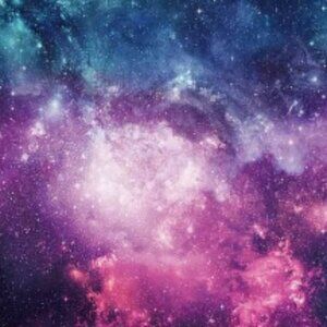 Meet your Posher, Bailey